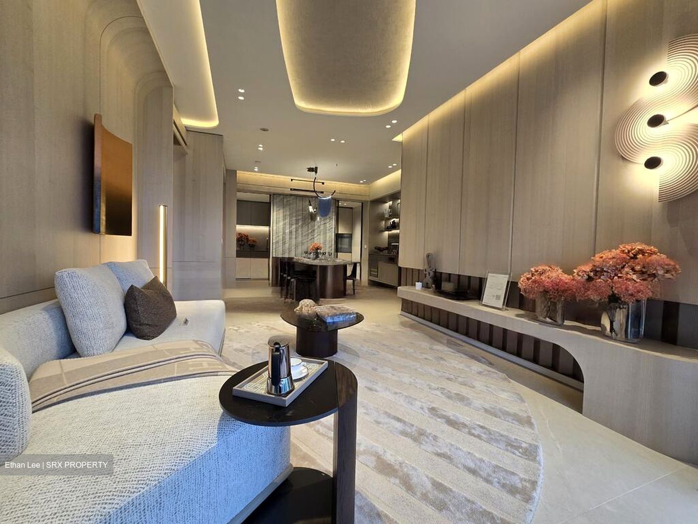 Havelock Road (D1), Apartment #462701001